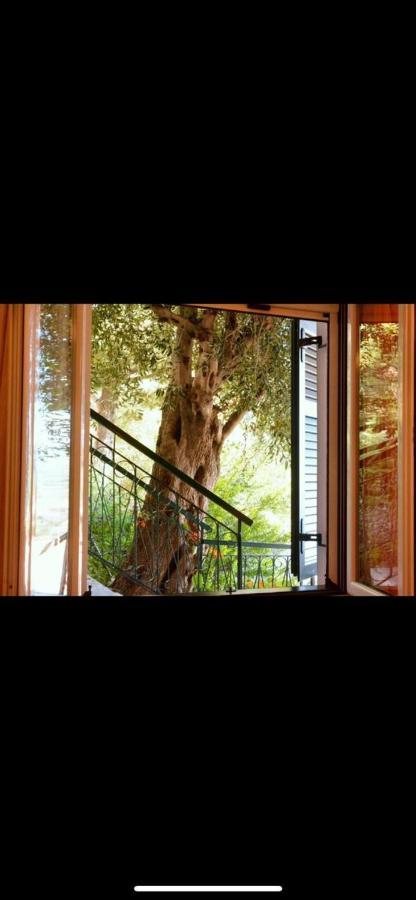 Glyfada Villa View גליפאדה מראה חיצוני תמונה